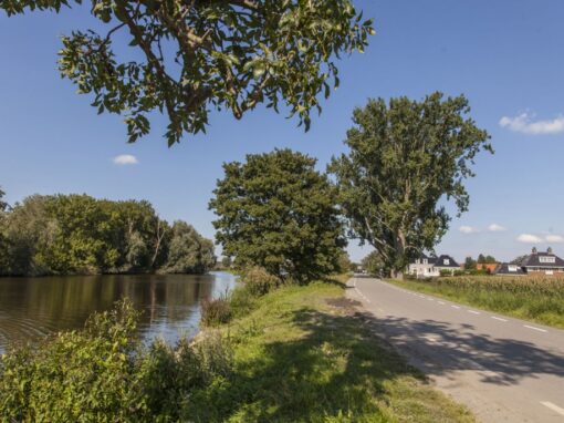 Ontwerp en begeleiding Nederhorst den Berg