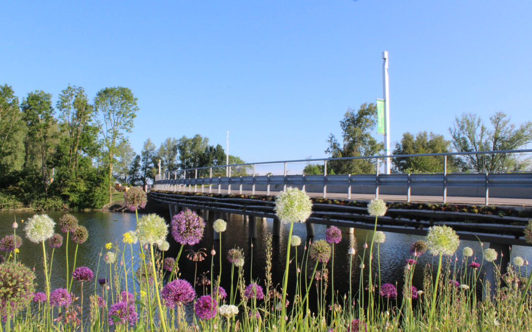 Ruim en Reimert: winnend ontwerp Floriadebruggen